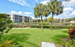 A grassy courtyard with palm trees, a pathway, and a building in the background. - Firethorn 613- Ground floor 2 bed / 1.5 bath unit just steps to pool and boat docks (Sarasota)
