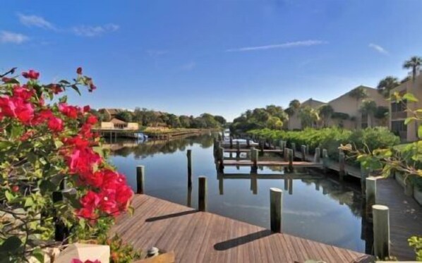 A wooden dock extending into calm water, surrounded by greenery and buildings. - Firethorn 613- Ground floor 2 bed / 1.5 bath unit just steps to pool and boat docks (Sarasota)