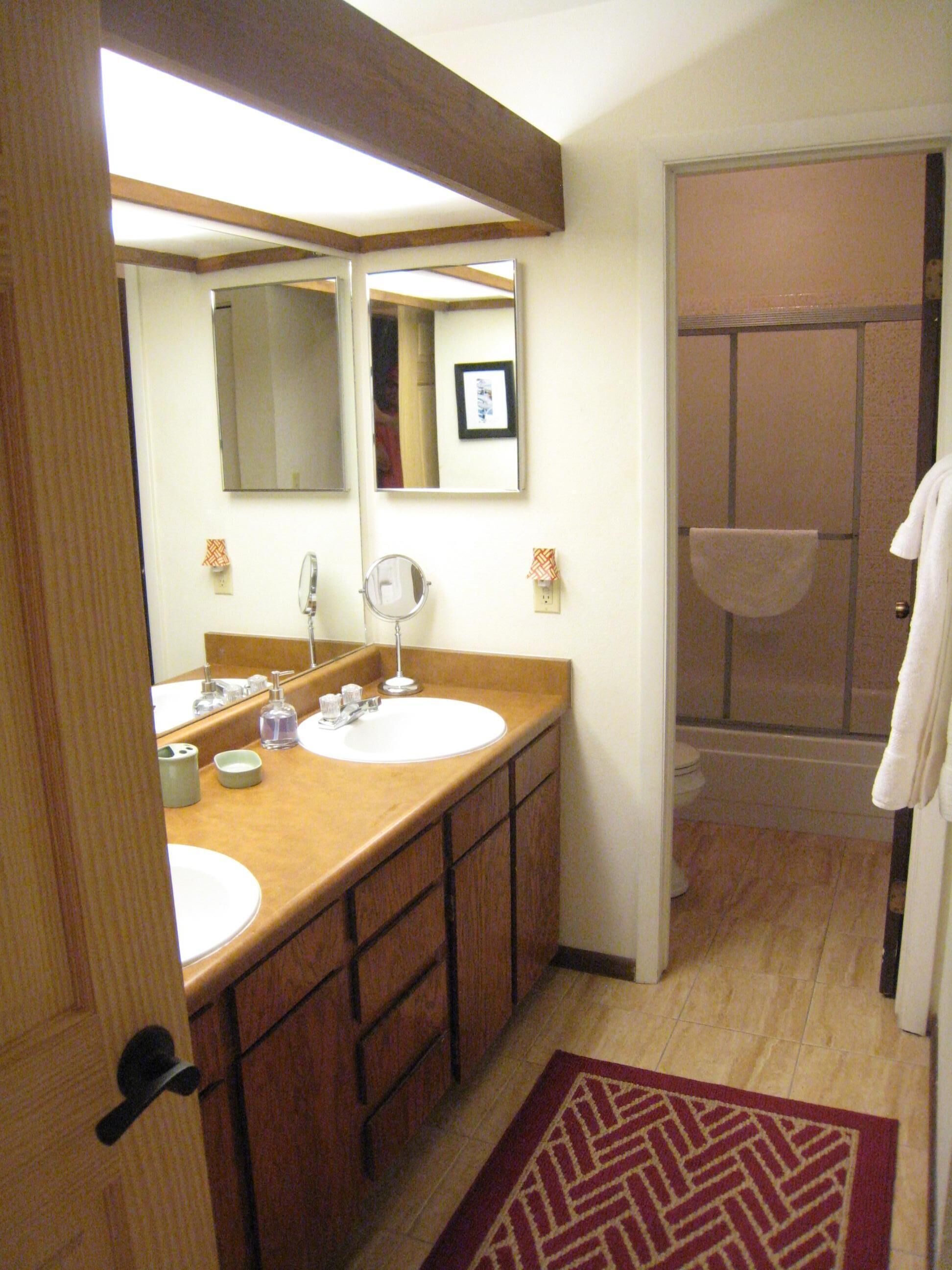 Master Bathroom area