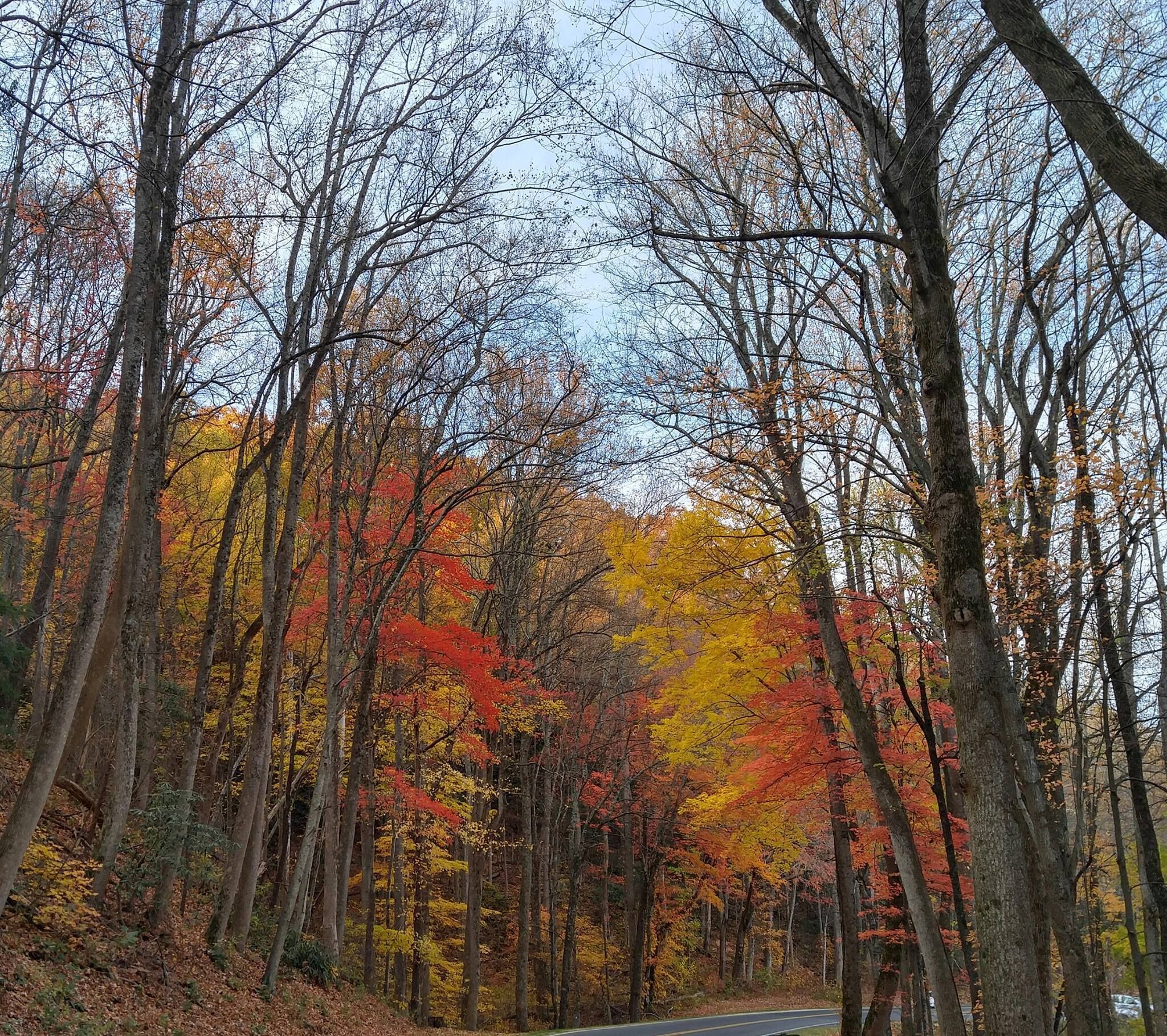 HICKORY NUT HIDE-A-WAY *5.5  MILES FROM LAKE HIWASSEE NC*