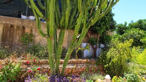 A large cactus in a garden with a stone wall and various plants in the background. - Portuguese house with a large private pool and very close to the beach. (Carvoeiro)