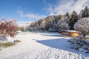 Een sneeuwbedekte tennisbaan met een houten hutje en bomen op de achtergrond.