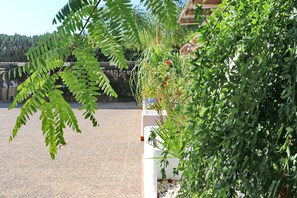 Property grounds - Bungalow for 4 people with free Wi-Fi (CONIL DE LA FRONTERA)