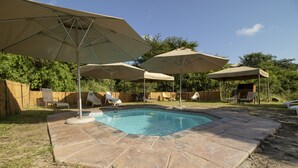 A backyard with a swimming pool, surrounded by stone tiles, and shaded by large umbrellas.