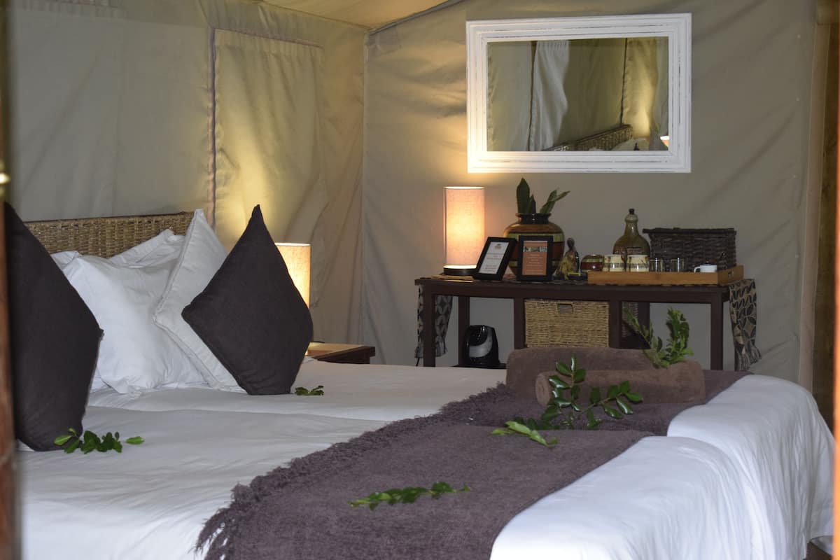 Une chambre avec deux lits, une table de chevet avec une lampe, un miroir et une petite plante.