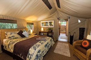 Um quarto com tenda, uma cama, uma mesinha com abajur e uma cadeira de vime.