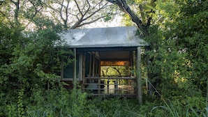 A wooden cabin with a covered porch, surrounded by dense foliage.