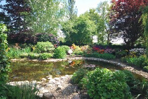 Imagen sin descripción, 5 de 37, botón