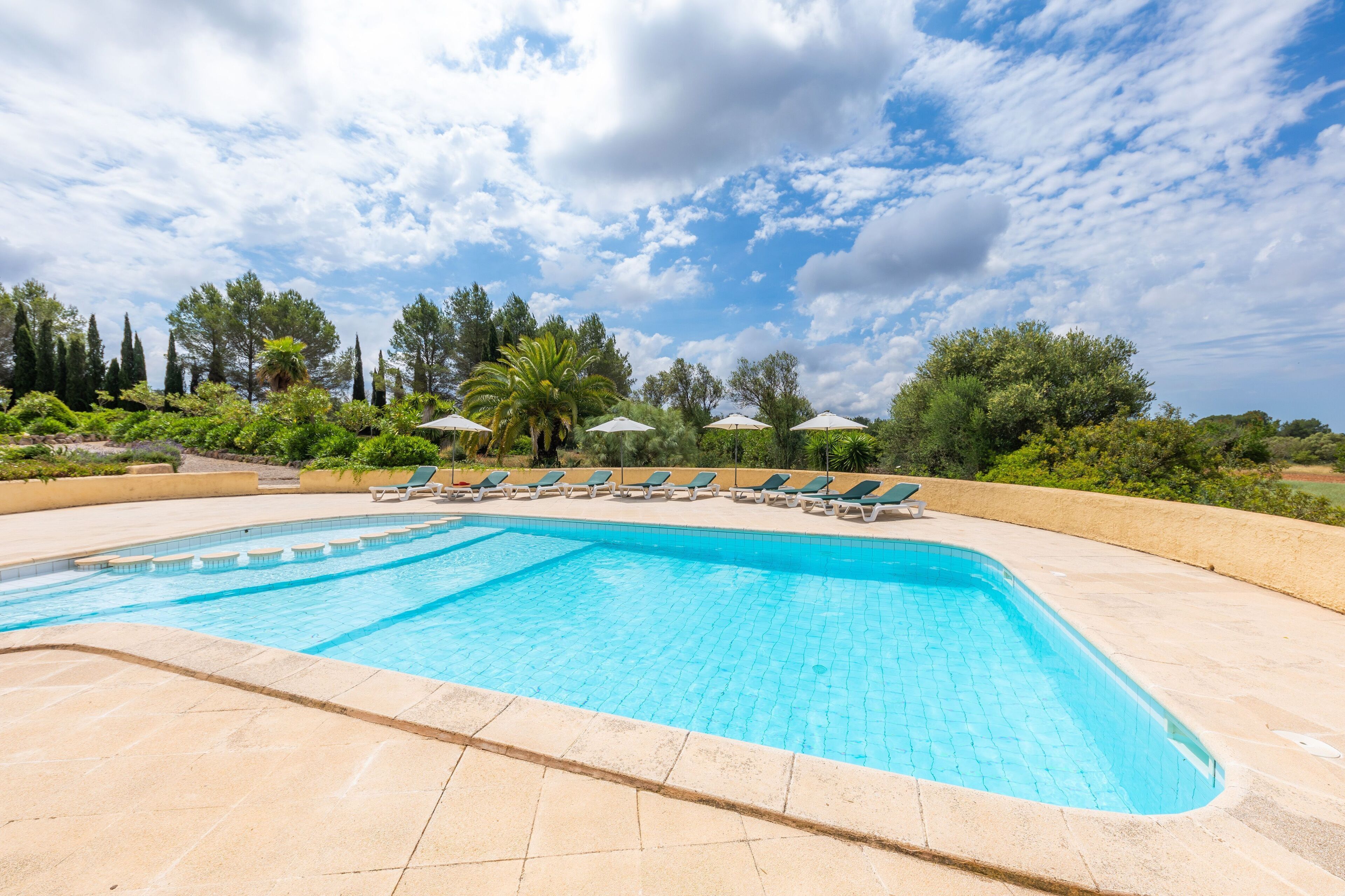 Une piscine rectangulaire, agrémentée de chaises longues et de parasols, entourée de verdure et d’arbres.
