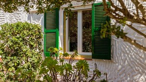 Edifício com janela e persianas verdes, cercado por vegetação.