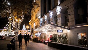 Una escena nocturna en la calle con árboles e edificios iluminados.