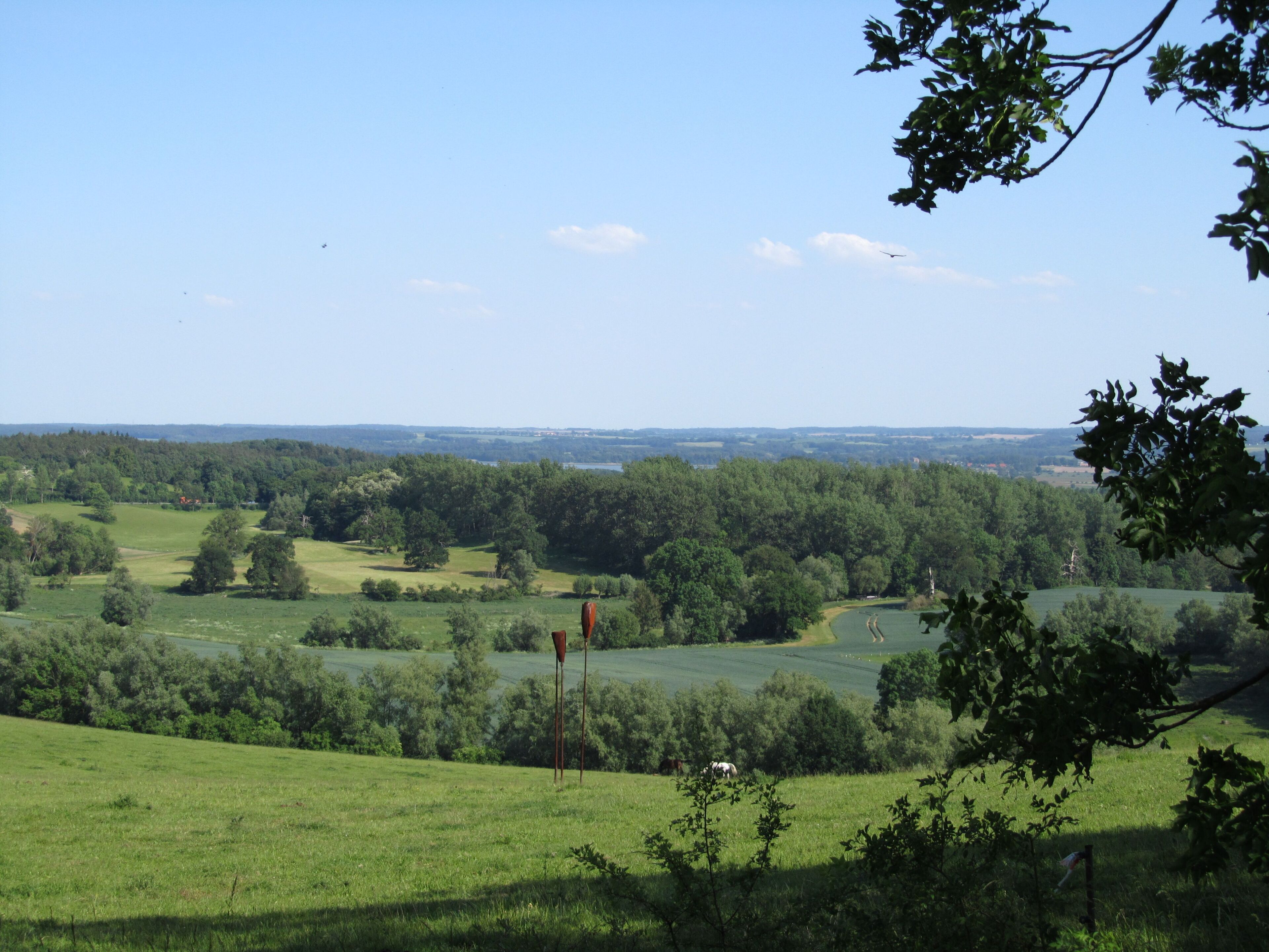 A rural landscape with a field, trees, and a flagpole.