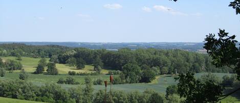 A rural landscape with a field, trees, and a flagpole.