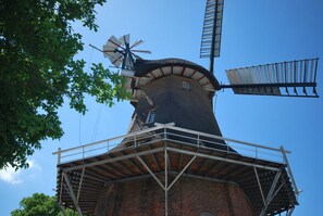 Immagine non classificata, 3 di 28, pulsante