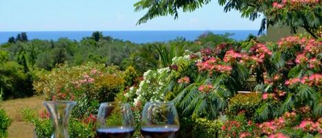 Blick von der Unterkunft