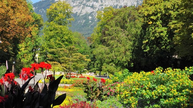 Ein Garten mit verschiedenen bunten Blumen und Bäumen, einem Weg und einem Berg im Hintergrund.