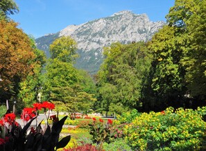 A garden with various colorful flowers and trees, a pathway, and a mountain in the background.