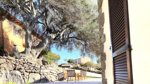 A stone wall, a large tree, and a building with a wooden door. - Artemisia Sardegna (Tergu)