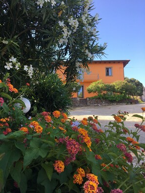 Vista frontal de la propiedad