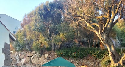 Artemisia Sardegna