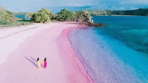 Une plage où deux personnes se promènent sur le sable rose, entourées d’une eau bleue cristalline et d’une végétation luxuriante.
