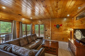 TV, fireplace, DVD player, books