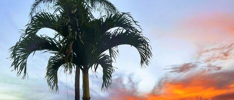 En la playa, camastros y toallas de playa