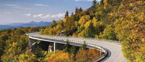 A winding road with a bridge over a forested area.