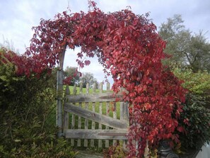 Garden - Ferienpension Fremuth (Ruhmannsfelden)