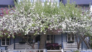 Een huis met een veranda, witte relingen en een boom met witte bloemen.