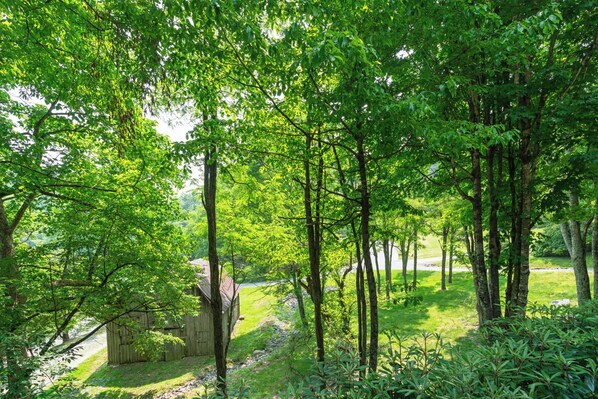 Property grounds - A Portofino Cabin: Mountain Log Cabin, Hot Tub, Pet Friendly, Wood Fireplace (Seven Devils)