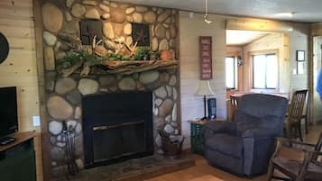 Televisión, chimenea, reproductor de DVD y libros