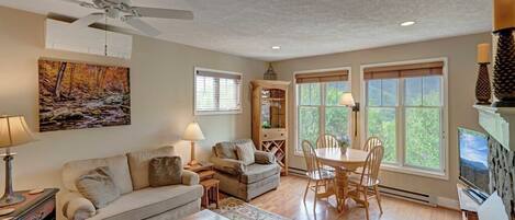 Televisión, chimenea, reproductor de DVD y estéreo