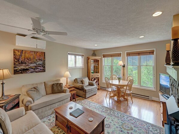 TV, fireplace, DVD player, stereo