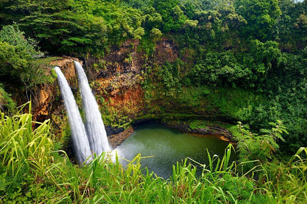 Una cascada que cae en una piscina rodeada de vegetación exuberante.