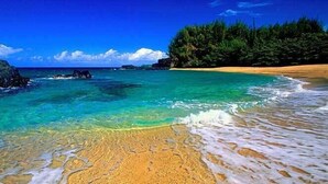 A beach with clear turquoise water, sandy shore, and a forested area in the background. - WORLD CLASS#402 Superior PENTHOUSE, Full AC, 2 Suites, Best Views & Privacy (Princeville)