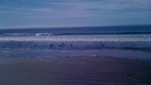 A beach with waves and birds. - Private Ranch House Resort (Templeton)