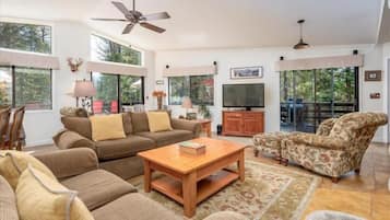 Televisión, chimenea y reproductor de DVD