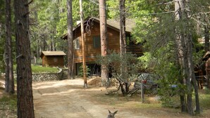 Una cabaña de madera rodeada de árboles, un sendero de tierra y un ciervo.