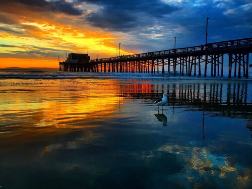 The Dock-Remodeled and Updated Beach Classic-Clean, Great Location, Bedrooms A/C