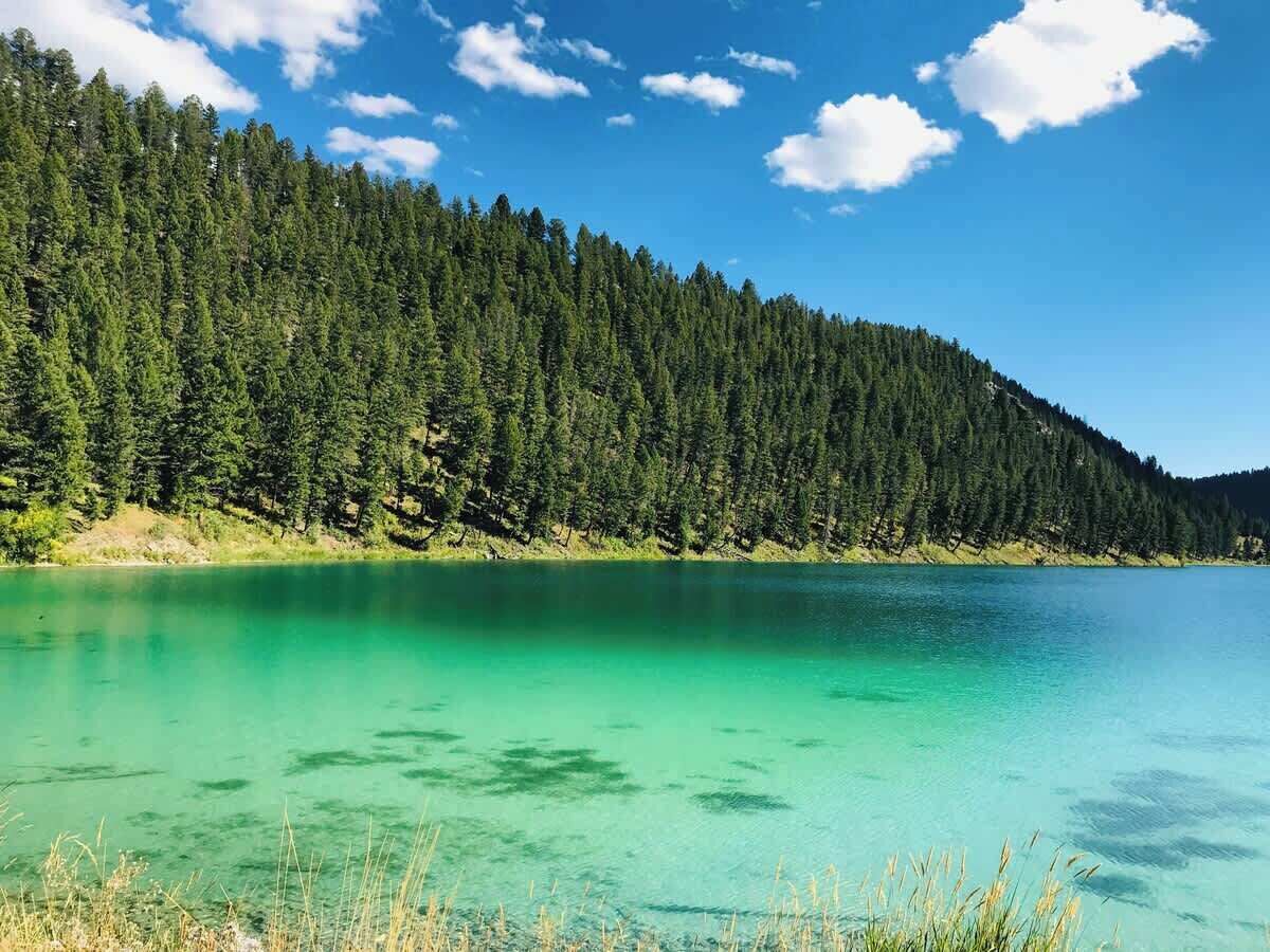 Un lac aux eaux turquoise et limpides, entouré d’une forêt dense et bordé d’un ciel dégagé.