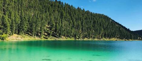 Un lac aux eaux turquoise et limpides, entouré d’une forêt dense et bordé d’un ciel dégagé.