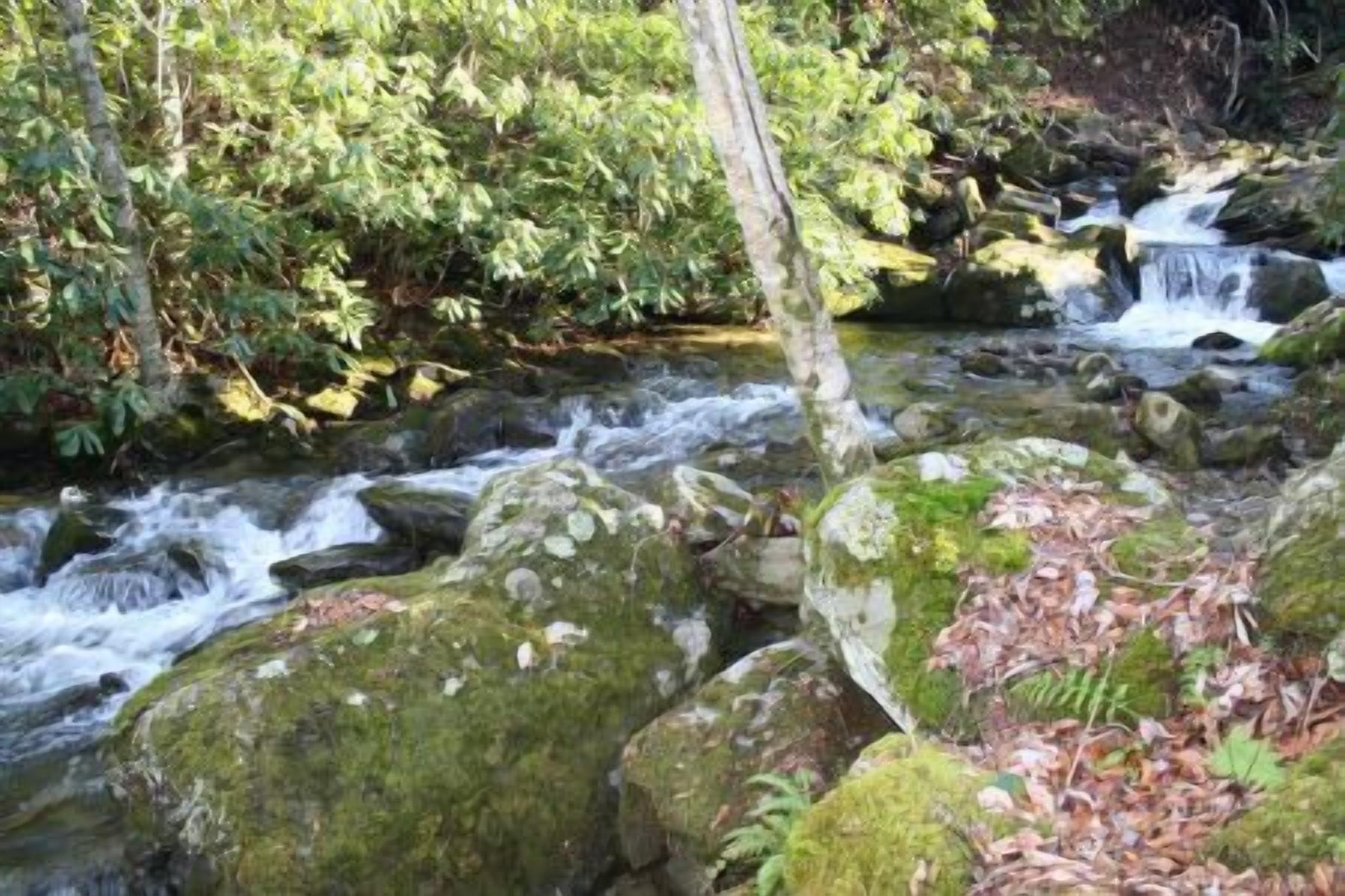 A Shanty Creek Retreat- Mountain House, Creek, Hiking to Grandfather Mountain, Pet-Friendly, Wood...