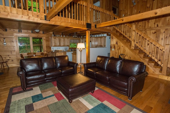 Televisión de pantalla plana, chimenea, reproductor de DVD y libros 