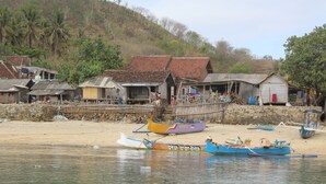 A coastal village with traditional houses, a sandy beach, and several colorful boats.