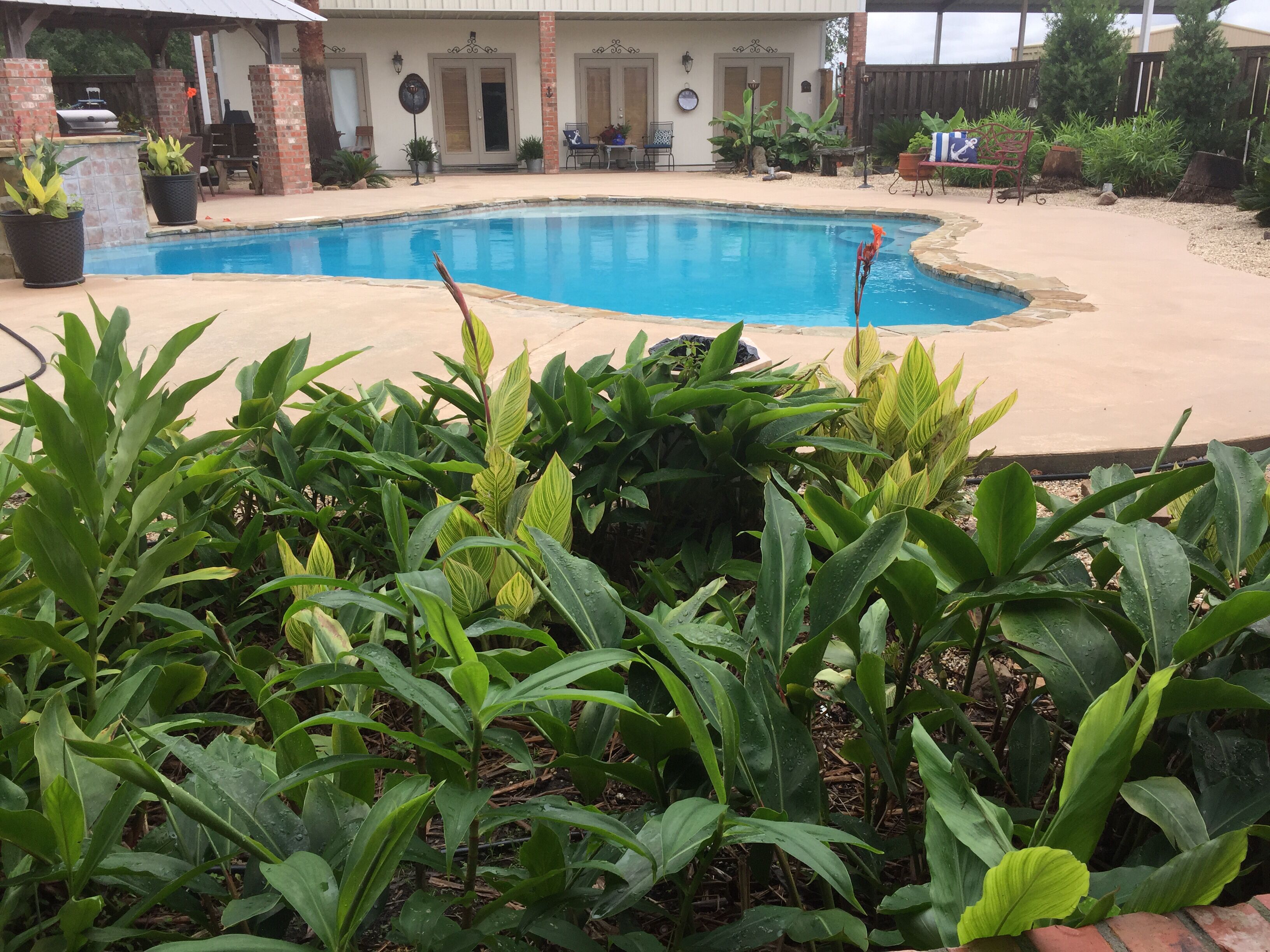 Outdoor pool