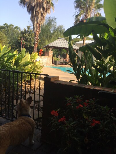 Cajun Getaway: "Home Away From Home"  A little piece of paradise. Very relaxing.