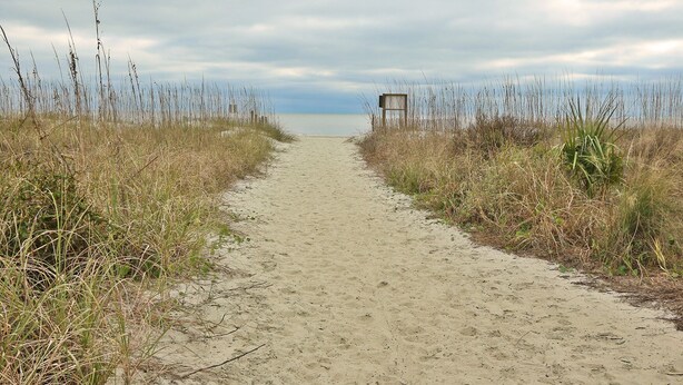 A sandy path leading to a beach with a wooden structure on the right. - 301 North Shore End Unit, No carpet, CLEAN, Wrap-around Balcony, August Avail. (Hilton Head Island)