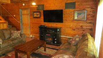 电视、壁炉、DVD 播放器、书