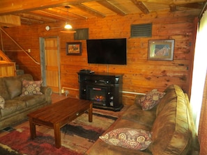 テレビ、暖炉、DVD プレーヤー、書庫